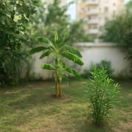 Prázdninový dům Brielle's House