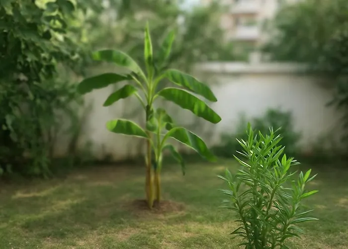 Casa vacanze Brielle's House